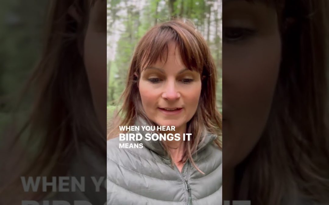 This Instant Trigger To Calm Your Nervous System Might Surprise You…